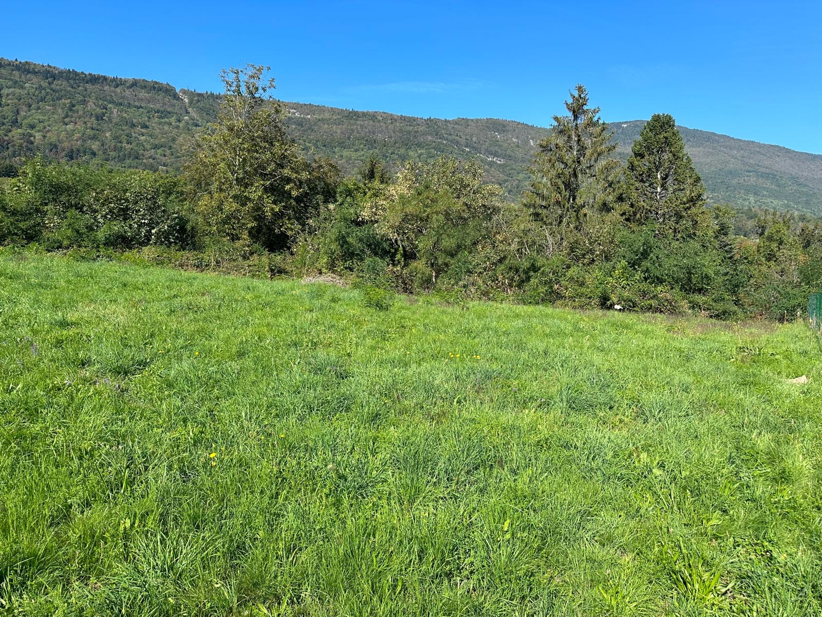 Agence immobilière de OUEST IMMO CONSEILS