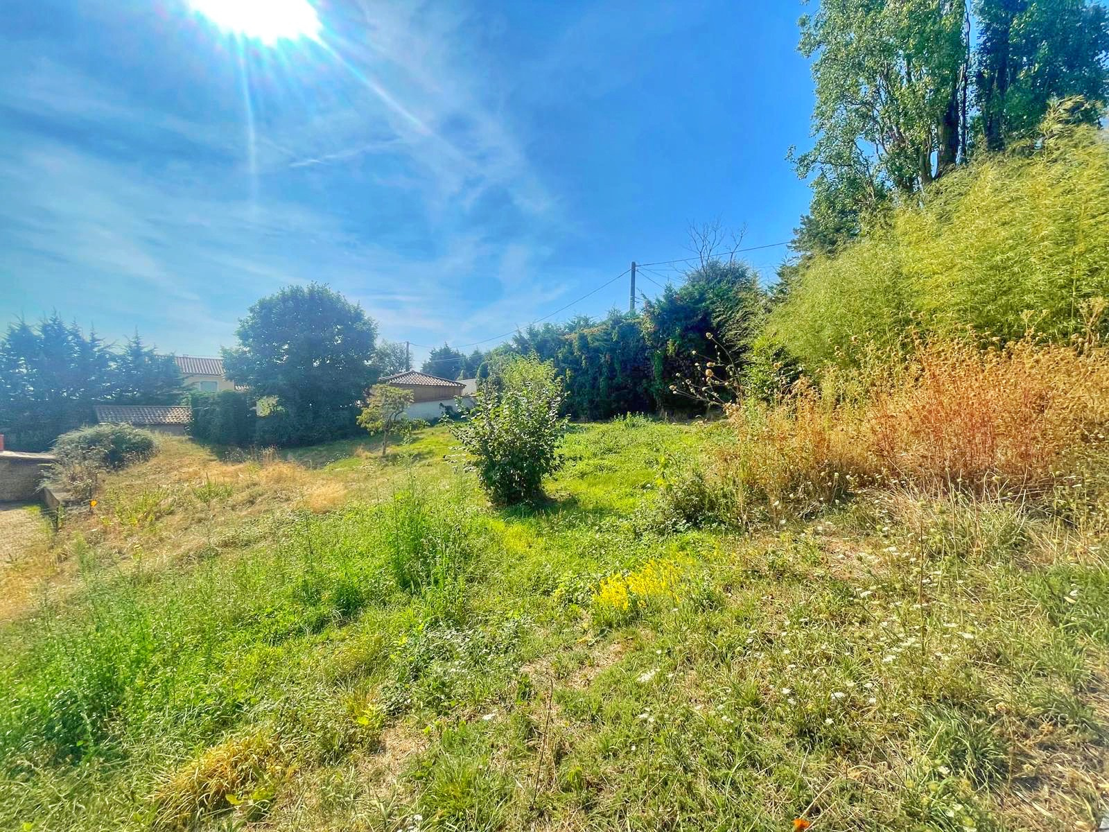 Agence immobilière de OUEST IMMO CONSEILS