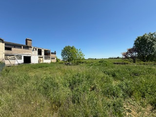 Agence immobilière de OUEST IMMO CONSEILS