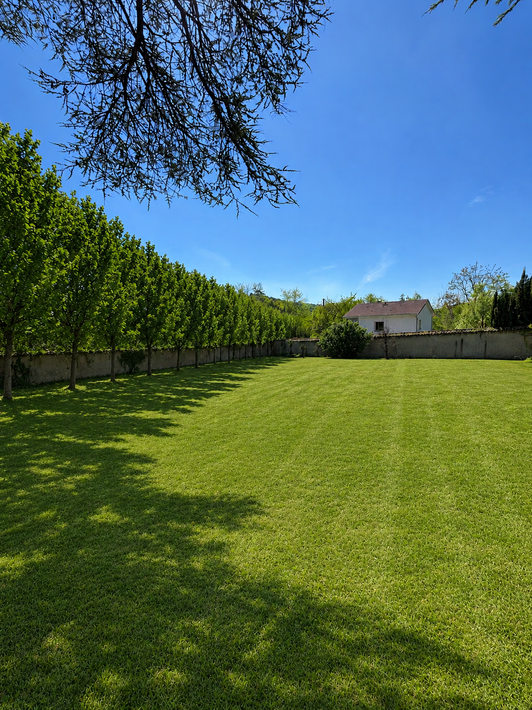 Agence immobilière de OUEST IMMO CONSEILS