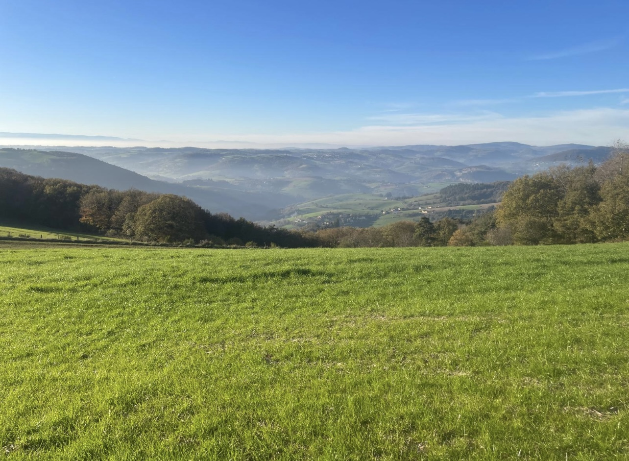 Agence immobilière de OUEST IMMO CONSEILS