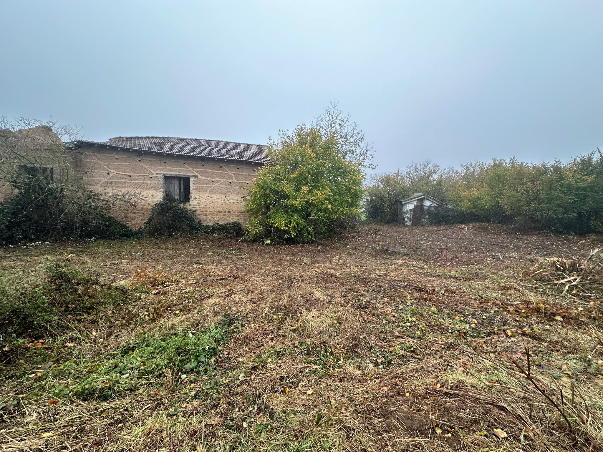 Agence immobilière de OUEST IMMO CONSEILS