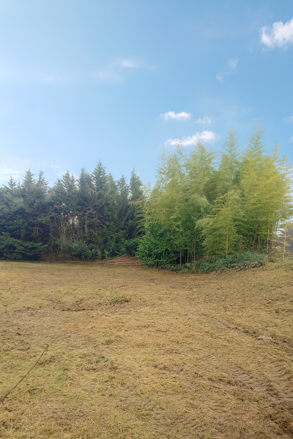 Agence immobilière de OUEST IMMO CONSEILS