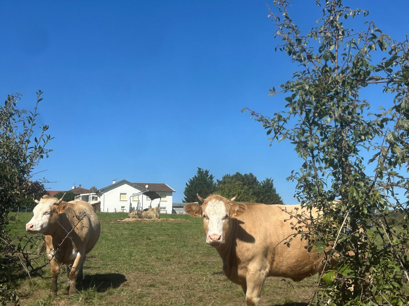 Agence immobilière de OUEST IMMO CONSEILS