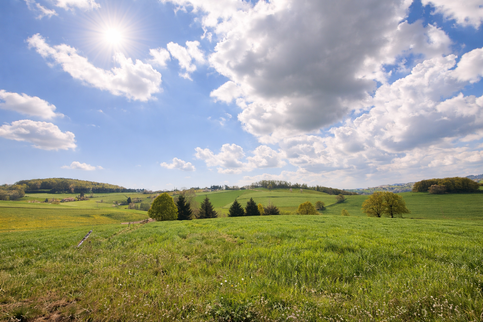 Agence immobilière de OUEST IMMO CONSEILS