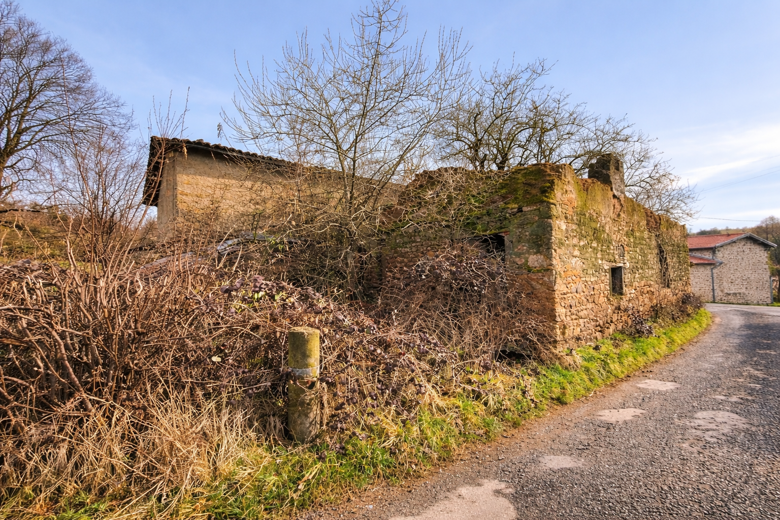 Agence immobilière de OUEST IMMO CONSEILS